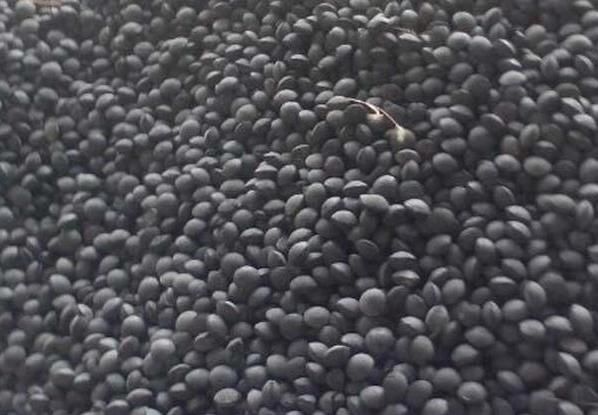 巴林钢铁公司与埃萨集团签署意向和谈，将每年为其绿色钢铁项目提供400万吨球团矿