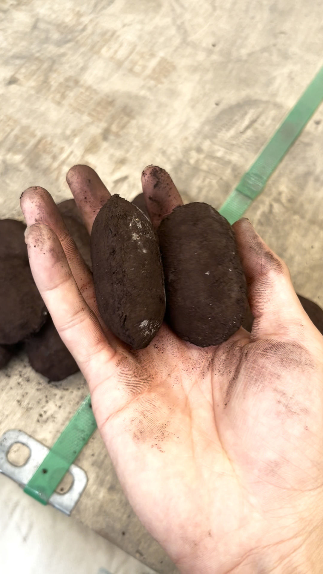 球团在烘干的时辰总是崩解，粉化