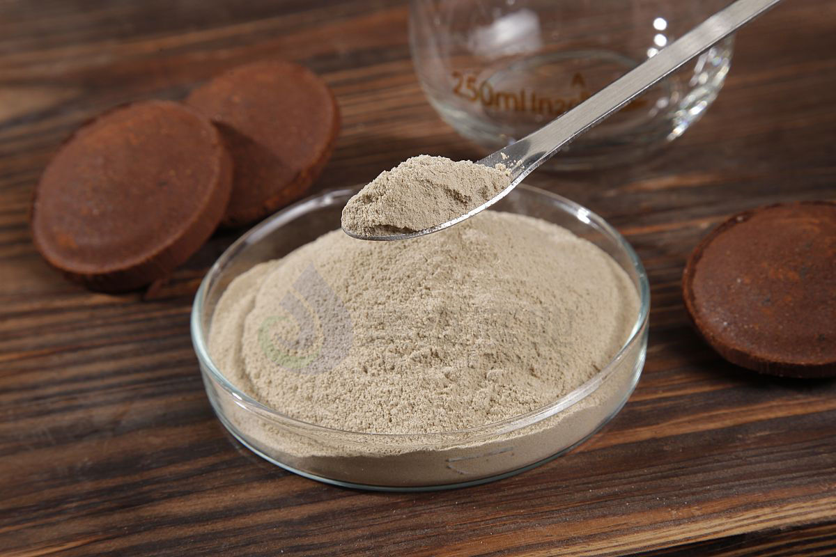 转底炉工艺是什么？